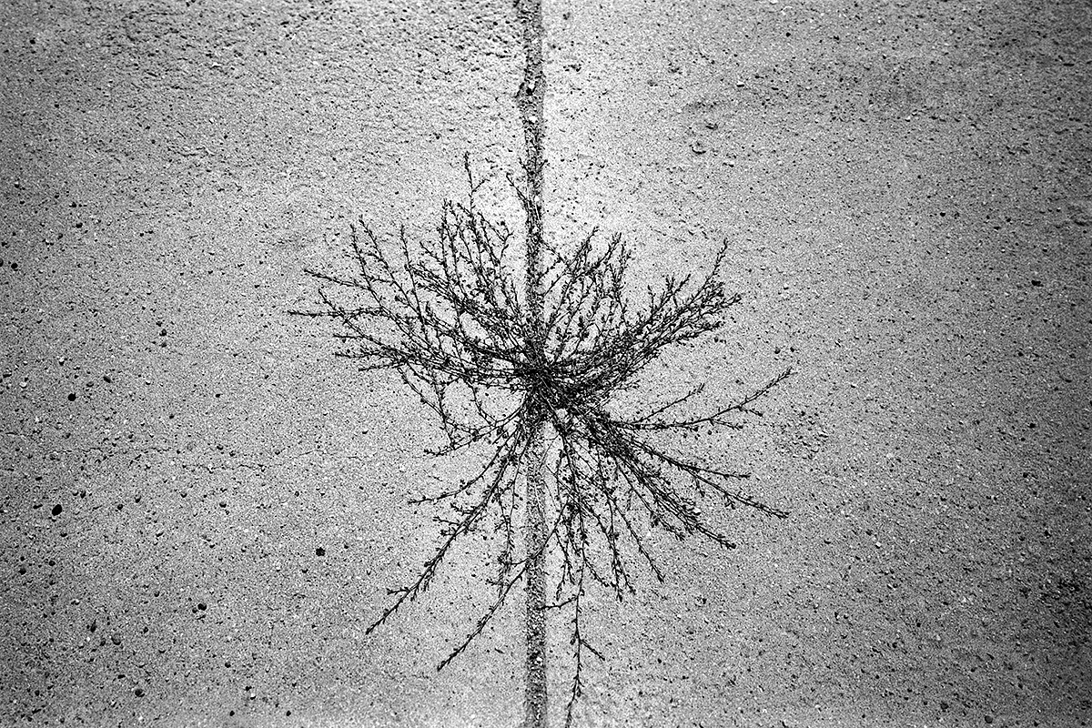 DAna Fotoskola Brno 02