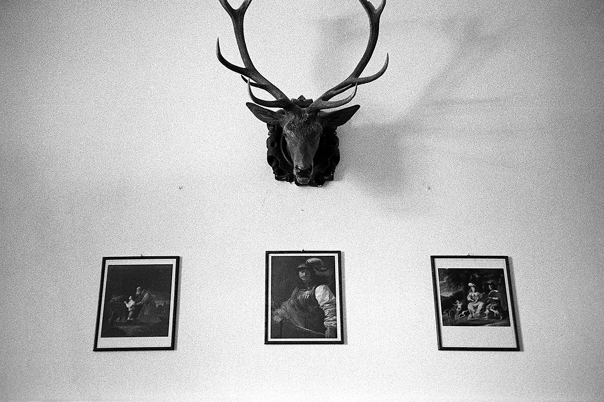 DAna Fotoskola Brno 07