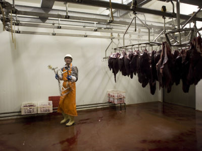 Alena Procházková Fotoskola Brno 01