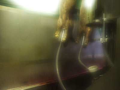 Alena Procházková Fotoskola Brno 03