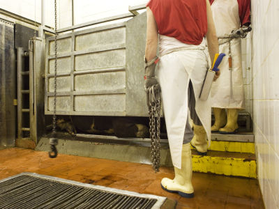 Alena Procházková Fotoskola Brno 05