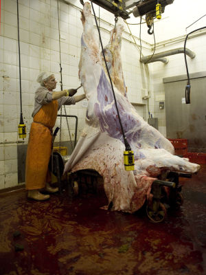 Alena Procházková Fotoskola Brno 06