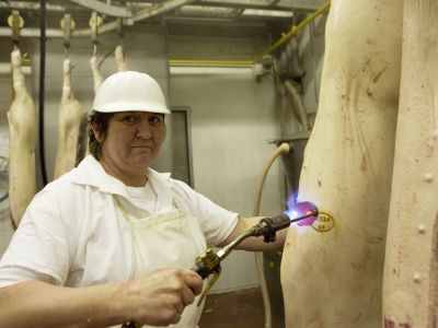 Alena Procházková Fotoskola Brno 07