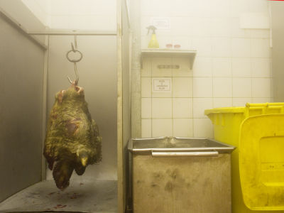 Alena Procházková Fotoskola Brno 08