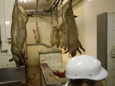 Alena Procházková Fotoskola Brno 09