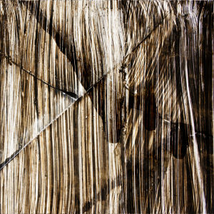 Blažena Kamasová Fotoskola Brno 03