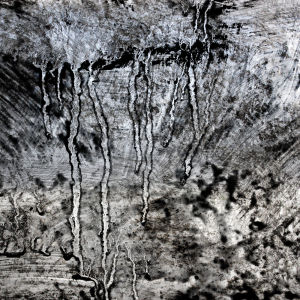 Blažena Kamasová Fotoskola Brno 04