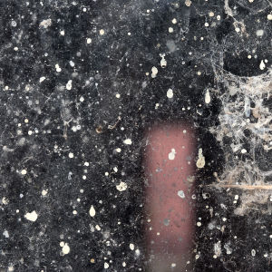 Blažena Kamasová Fotoskola Brno 06