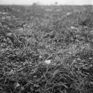 Martin JAnosek Aliens Fotoskola Brno 04