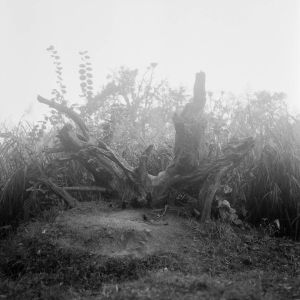 Martin JAnosek Aliens Fotoskola Brno 05