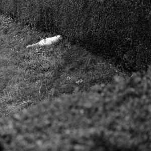 Martin JAnosek Aliens Fotoskola Brno 07