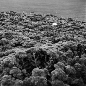 Martin JAnosek Aliens Fotoskola Brno 10