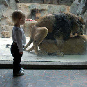 Michaela Spurna Her 03