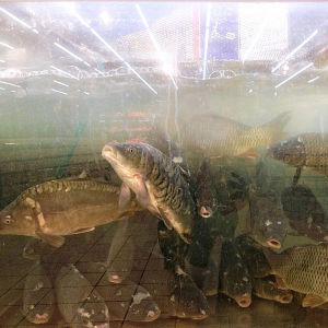 Radana Halskova Fotoskola Brno 02