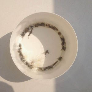 Radana Halskova Fotoskola Brno 03