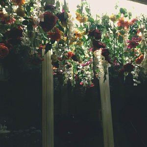 Radana Halskova Fotoskola Brno 05