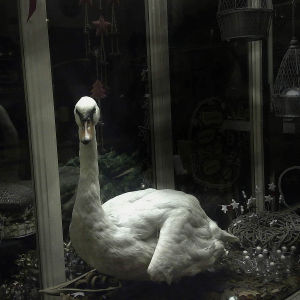 Radana Halskova Fotoskola Brno 06