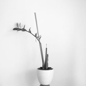 Zuzana Karlíková Fotoskola Brno 03