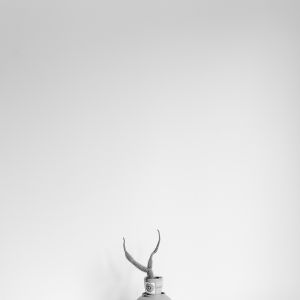 Zuzana Karlíková Fotoskola Brno 06