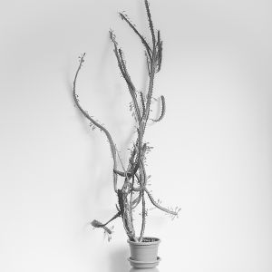 Zuzana Karlíková Fotoskola Brno 07