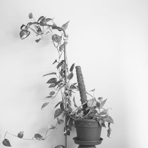 Zuzana Karlíková Fotoskola Brno 08