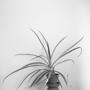 Zuzana Karlíková Fotoskola Brno 09