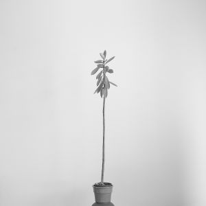 Zuzana Karlíková Fotoskola Brno 10