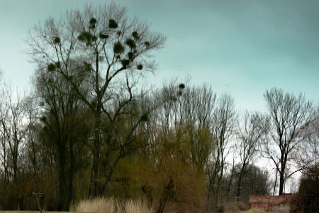 Zuzana Šlégrová Fotoskola Brno 02